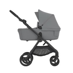 Anex IQ