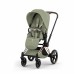 Коляска 2 в 1 Cybex Priam 5 Style Collection