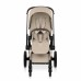 Коляска 2 в 1 Cybex Priam 5 Style Collection