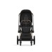 Cybex PRIAM IV Rose Gold 2 в 1
